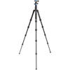 iFoto Series 1 Aluminum Tripod Kit with IB0 Head FIF19AIB0