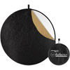 Collapsible 5-in-1 Reflector 50"