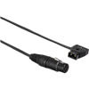 D-Tap to 4-Pin Neutrik XLR Female Cable (32")