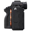 Alpha A9II Mirrorless Body