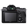 Alpha A9II Mirrorless Body
