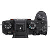 Alpha A9II Mirrorless Body