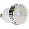 Daylight LED Bulb with Tungsten Cover (45-watt)