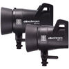 ELC 125/500 Self Contained Flash Heads with Reflector and Carry Bag