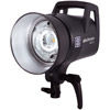 ELC 125/500 Self Contained Flash Heads with Reflector and Carry Bag