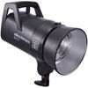 ELC 125/500 Self Contained Flash Heads with Reflector and Carry Bag