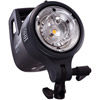 ELC 125/500 Self Contained Flash Heads with Reflector and Carry Bag