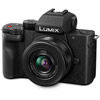 Lumix G100 Kit w/ Lumix G Vario 12-32mm f/3.5-5.6 ASPH Mega OIS Lens