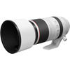 RF 100-500mm f/4.5-7.1 L IS USM Super Telephoto Lens