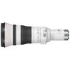 RF 800mm f/5.6 L IS USM Super Telephoto Lens