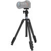 Carbon Fiber Tripod AP-20