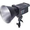 200x S Bi-Color LED Light Kit