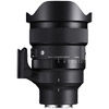 15mm f/1.4 DG HSM Art Diagonal Fisheye Lens for E Mount