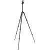 Befree Advanced AS Aluminum 4-Section Tripod Kit w/ Lever Locks and 494 Ball Head (Arca-Type)
