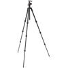 Befree Advanced Carbon 4-Section Tripod Kit w/ Twist Locks and 494 Ball Head
