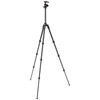 Befree Advanced Carbon 4-Section Tripod Kit w/ Twist Locks and 494 Ball Head
