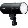 D30 500Ws Monolight Duo Kit