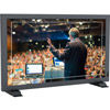 PVM210S 21.5" 3G-SDI/HDMI Professional Production