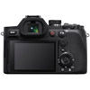 RX10V Digital Camera