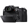 RX10V Digital Camera