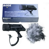 Stereo Video Microphone