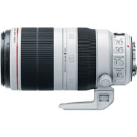 Canon EF 70-300mm f4-5.6L IS USM LensUsed Canon EF 70-300mm f4-5.6 