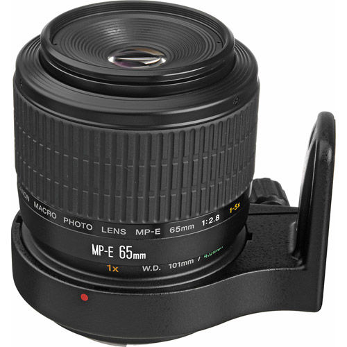 EF65/2.8 MP-E macro lens