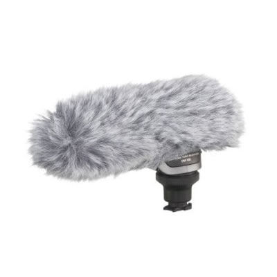 DM-100 stereo microphone