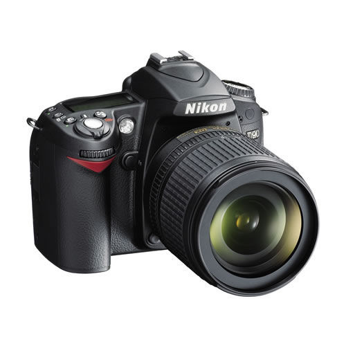 D90 w/ AF-S 18-105mm VR