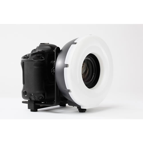 RQ Ringflash ECO for Quadra
