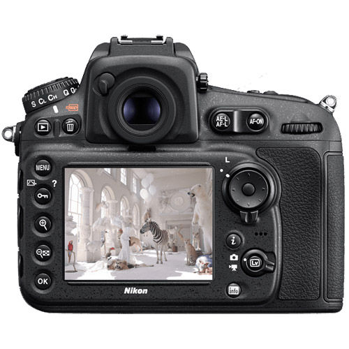 Nikon D810 w/afs 70-200 lens