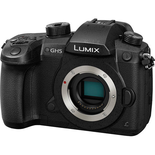 GH5 Camera Body