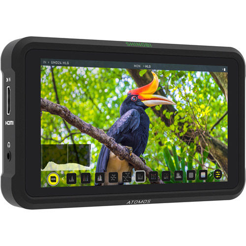 Rent Atomos Shinobi 5.2