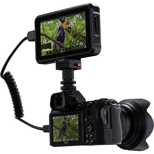 Rent Atomos Shinobi 5.2