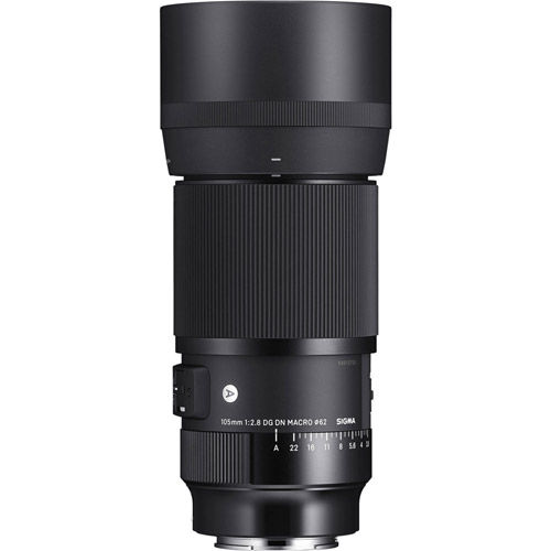 Sigma 105mm f/2.8 DG DN Macro Art Lens for Sony E-Mount 