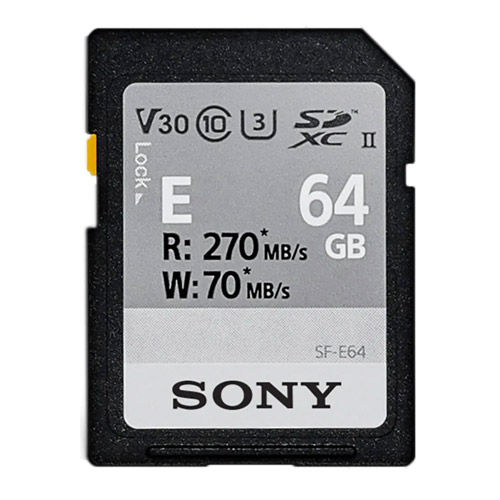 Sony Alpha A6100 Mirrorless Kit w/ SEL 16-50mm PZ Lens w/ Vlogger 
