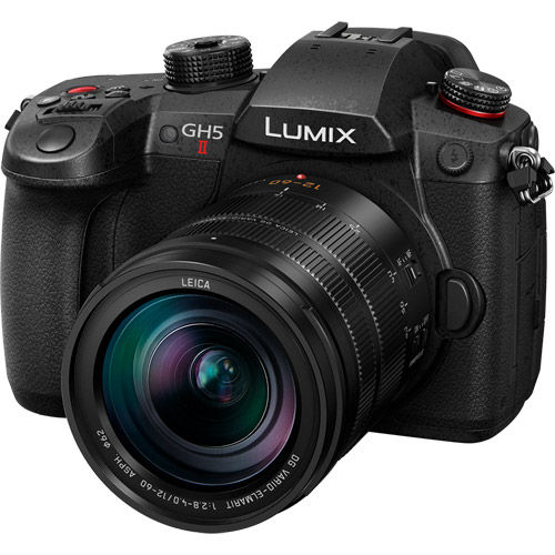 高評価の贈り物 Panasonic - Panasonic Lumix GH5（DC-GH5、V-Log L 