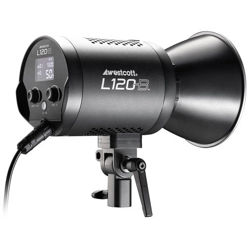 L120-B Bi-Color COB LED (120W)