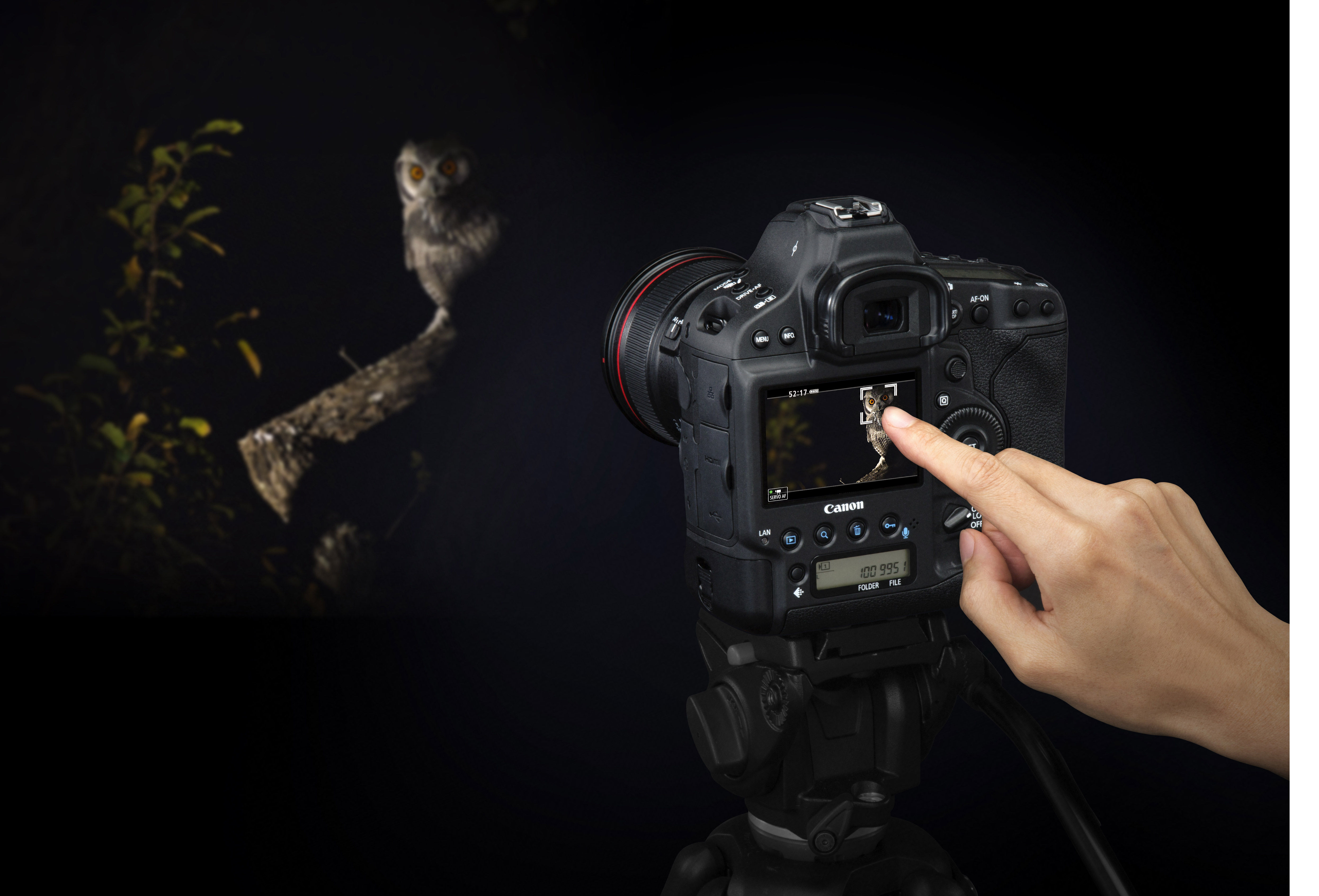 Canon EOS 1DX Mark Body Item Details